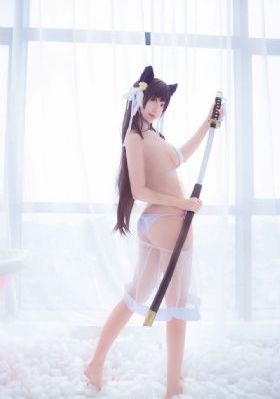 犬父虎子电视剧免费播放