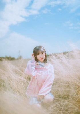 野狼与鸽子